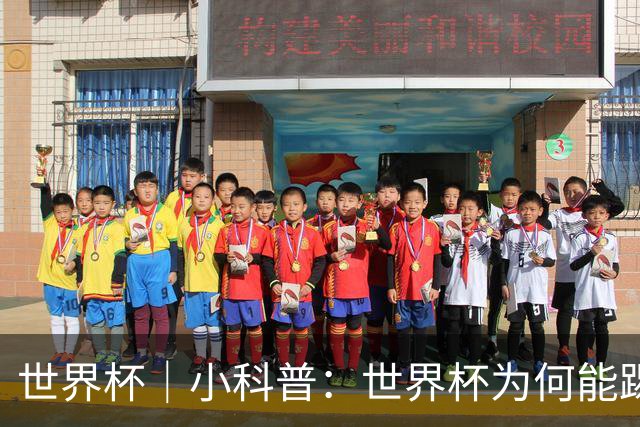 世界杯｜小科普：世界杯为何能踢出那么大的分差？